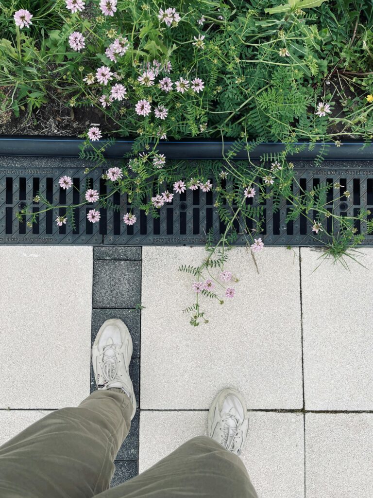 Outdoor path featuring ceramic tiles and wildflowers in Grushevskaya, Russia.