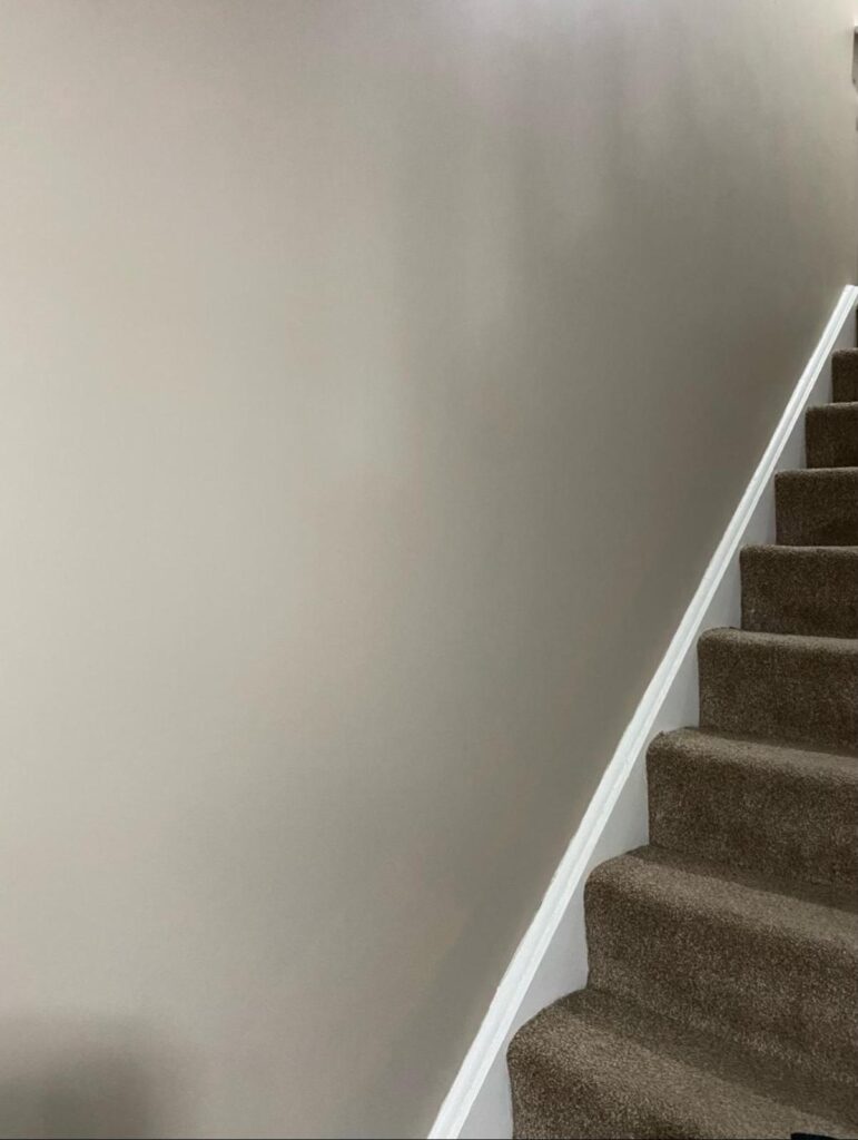 whatsapp image 2026 01 18 at 1.21.23 pm (3)